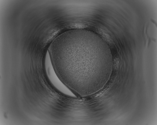 X0000097870358200803281207
