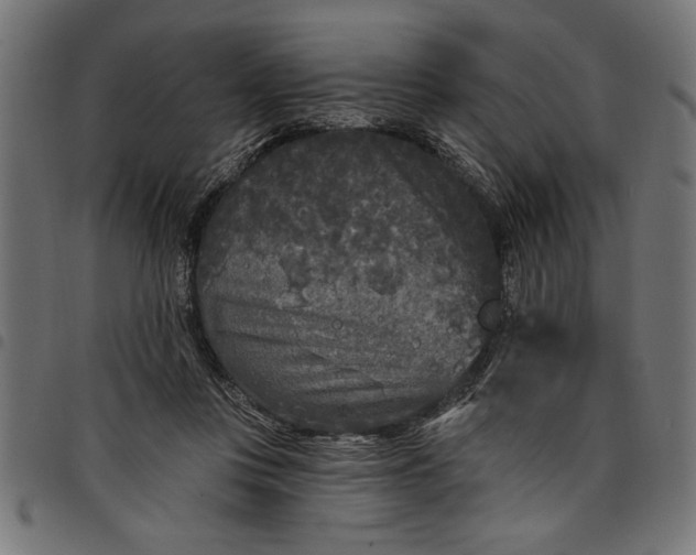 X0000097870359200803281207