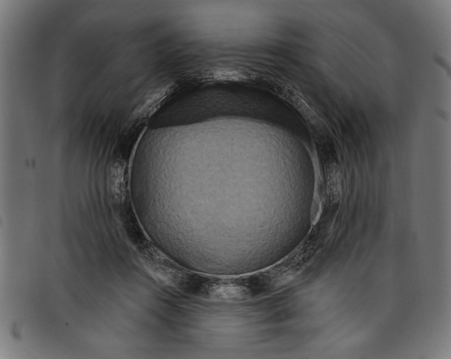 X0000097870360200803281207