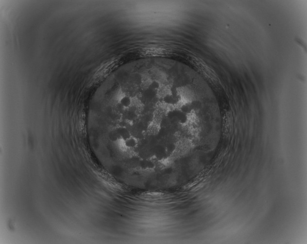 X0000097870361200803281207