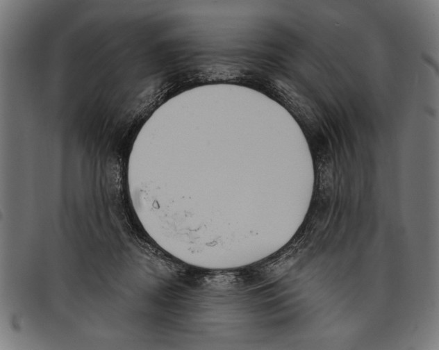 X0000097870362200803281207