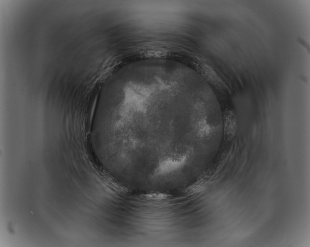 X0000097870363200803281207