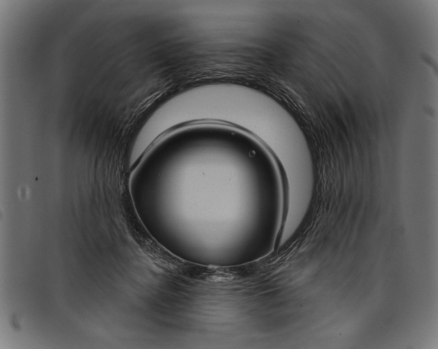 X0000097870364200803281207