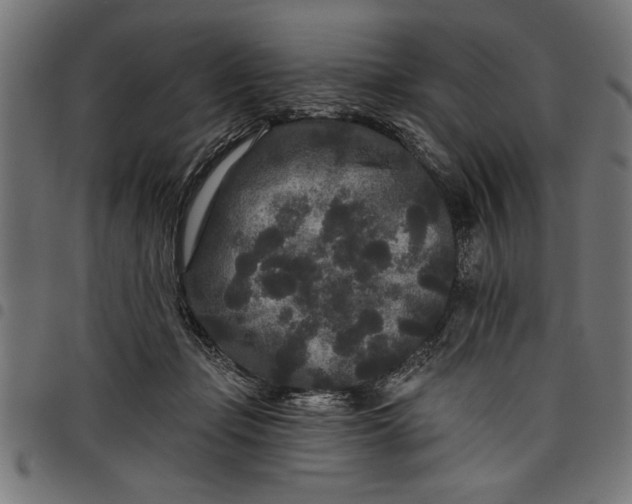 X0000097870365200803281207