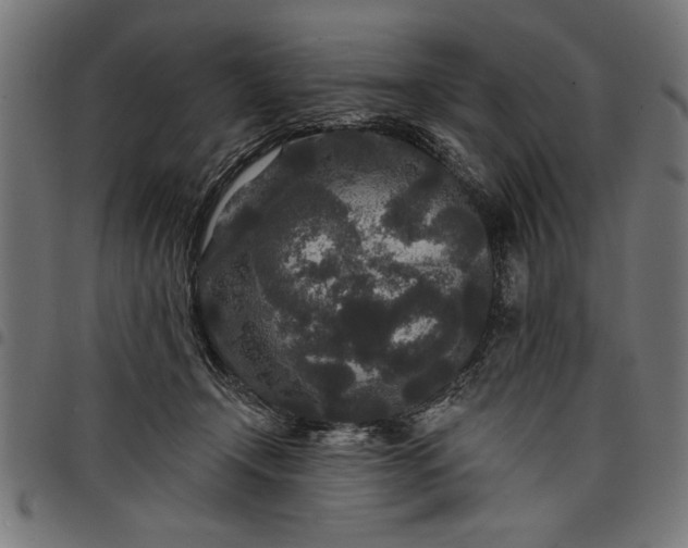 X0000097870366200803281207