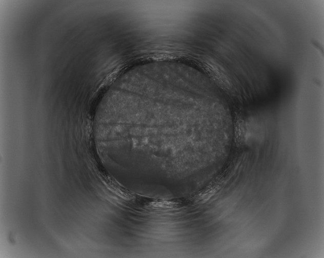 X0000097870367200803281207