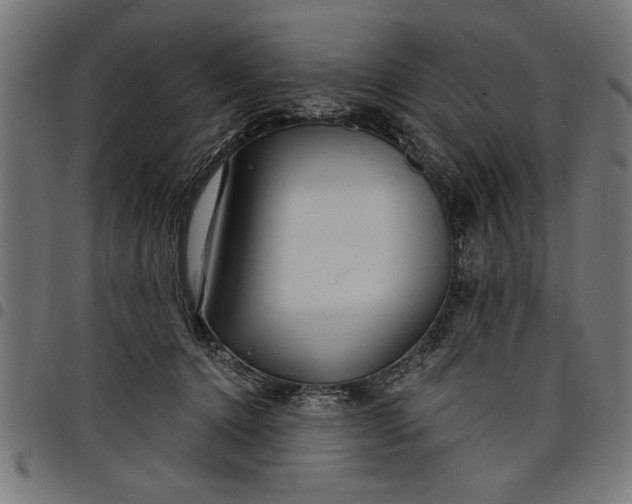 X0000097870368200803281207