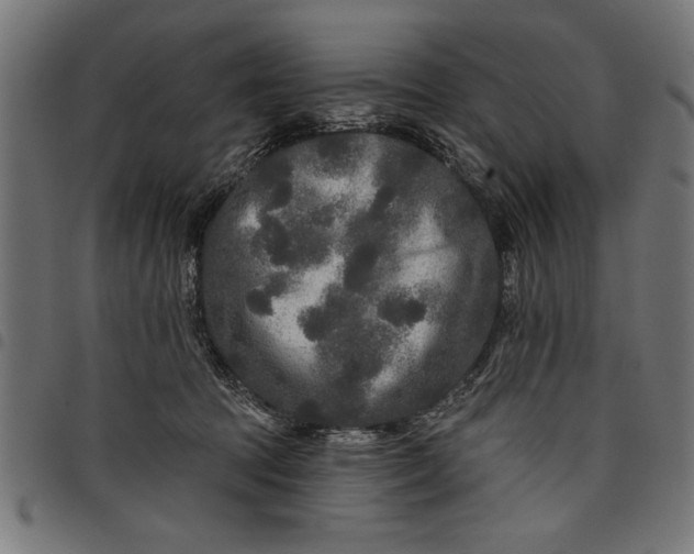 X0000097870369200803281207