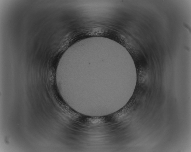 X0000097870370200803281207