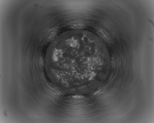 X0000097870371200803281207