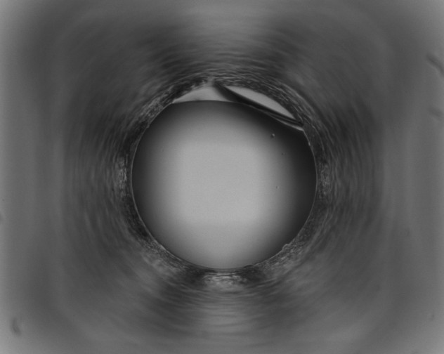 X0000097870372200803281207
