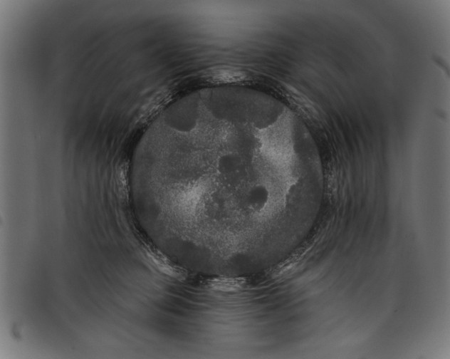 X0000097870373200803281207