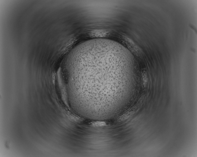 X0000097870374200803281207