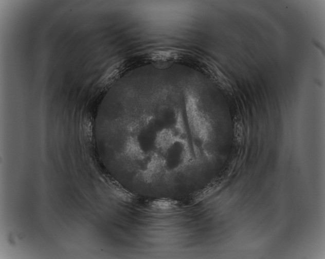 X0000097870375200803281207