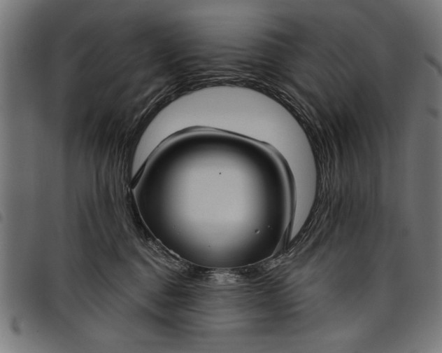 X0000097870376200803281207