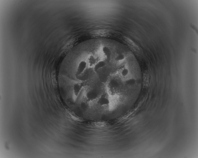 X0000097870377200803281207