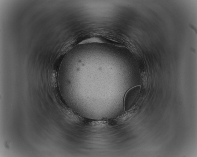 X0000097870378200803281207