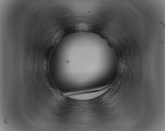 X0000097870379200803281207