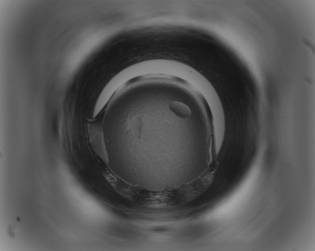 X0000097870382200803281207