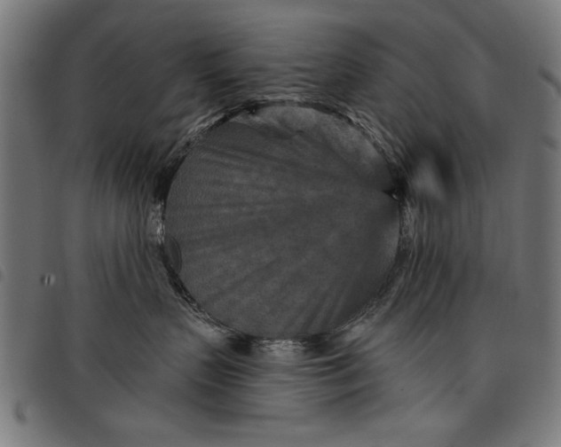 X0000097870383200803281207
