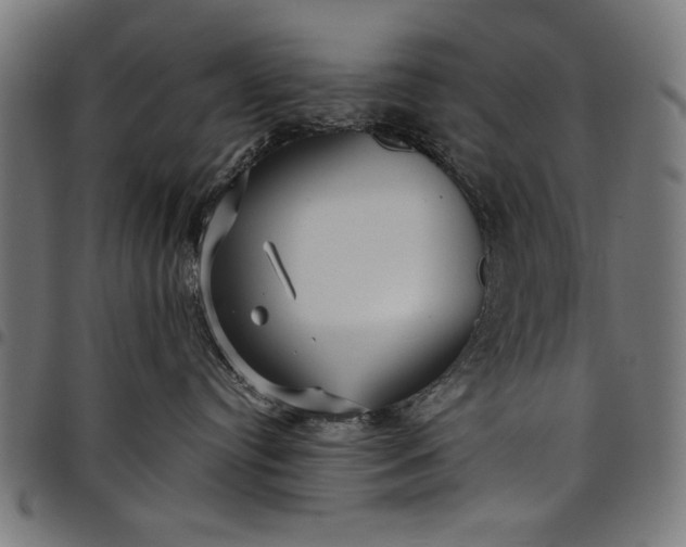 X0000097870384200803281207