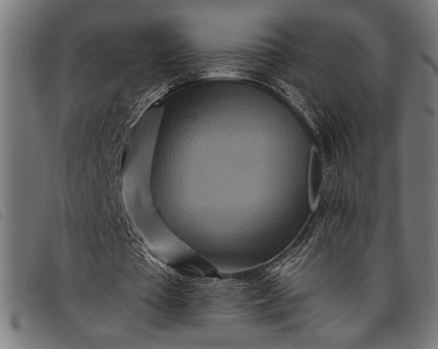 X0000097870385200803281206