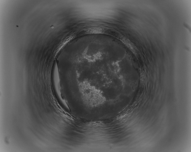 X0000097870386200803281206