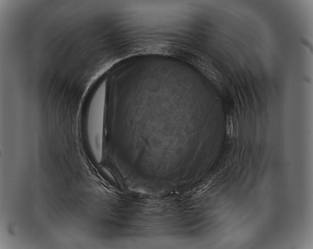 X0000097870388200803281206