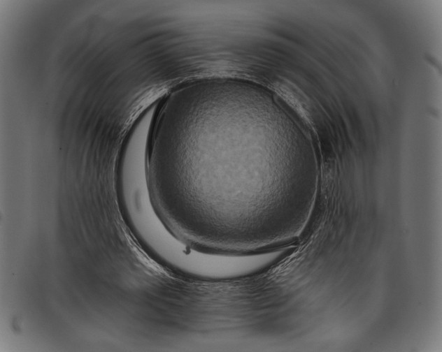 X0000097870389200803281206