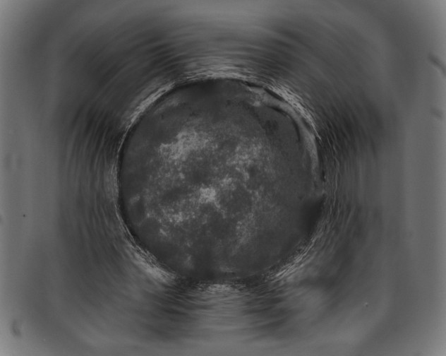 X0000097870390200803281206