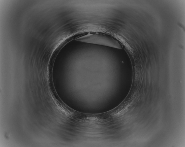 X0000097870391200803281206