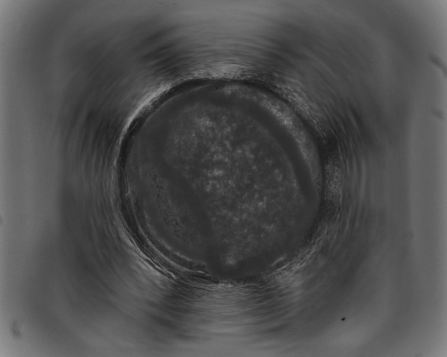 X0000097870392200803281206