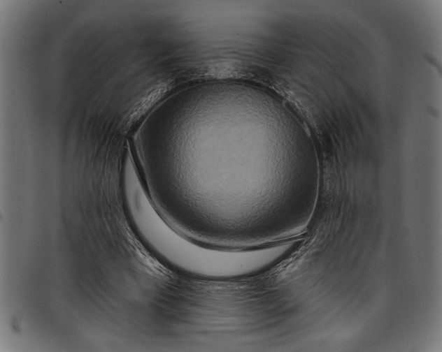 X0000097870393200803281206