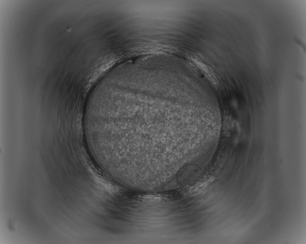 X0000097870394200803281206