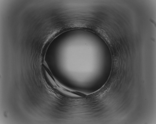 X0000097870395200803281206