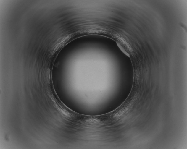 X0000097870397200803281206