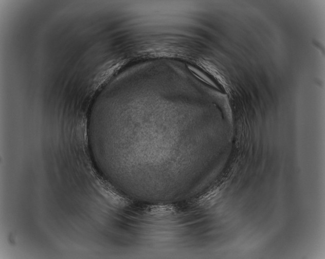 X0000097870398200803281206