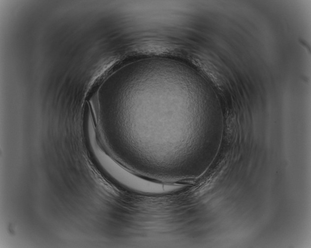 X0000097870399200803281206