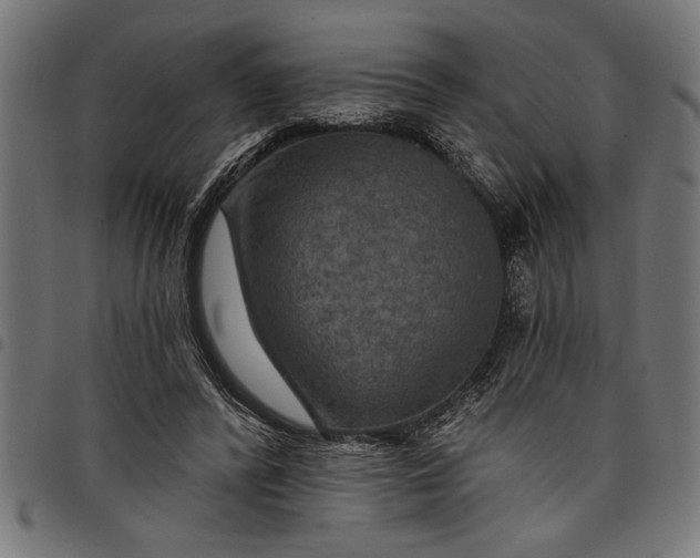 X0000097870400200803281206