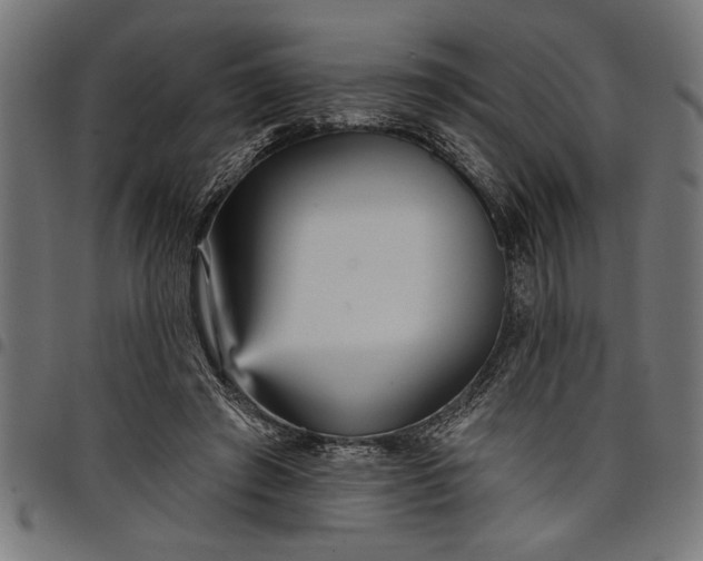 X0000097870401200803281206