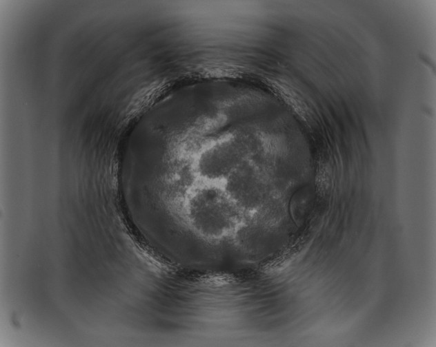 X0000097870402200803281206