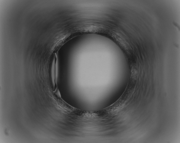 X0000097870403200803281206