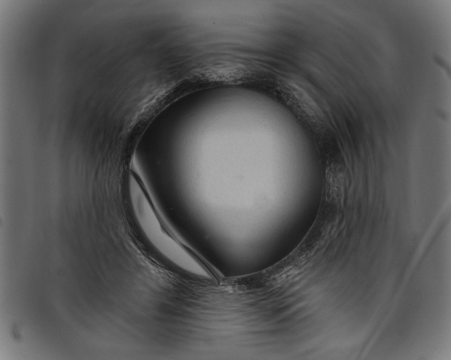 X0000097870404200803281206