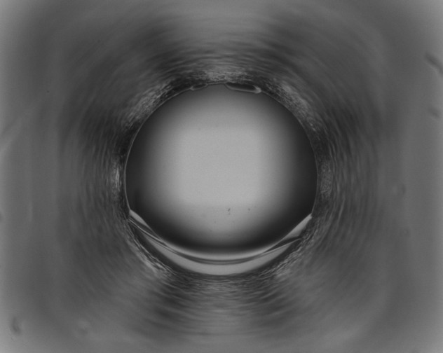 X0000097870405200803281206