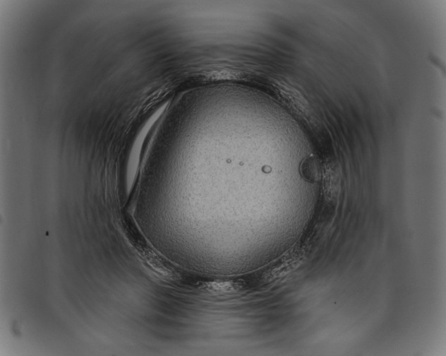 X0000097870406200803281206