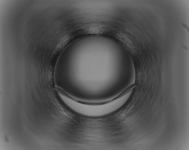 X0000097870407200803281206