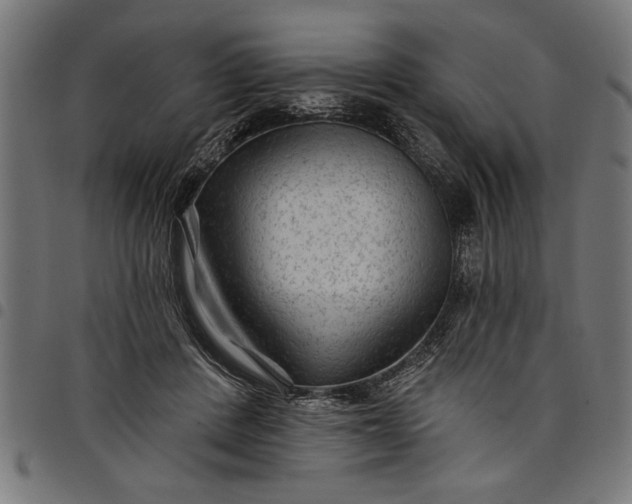 X0000097870408200803281206