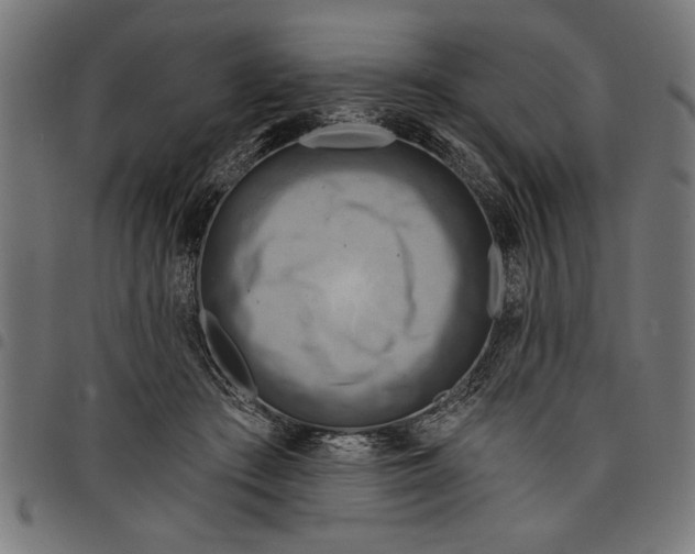 X0000097870409200803281206