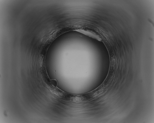 X0000097870412200803281206