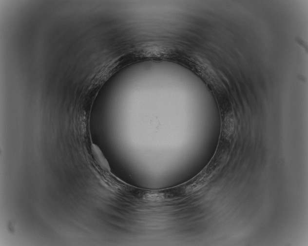 X0000097870413200803281206